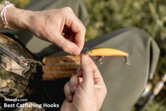 Best Hooks For Catfish