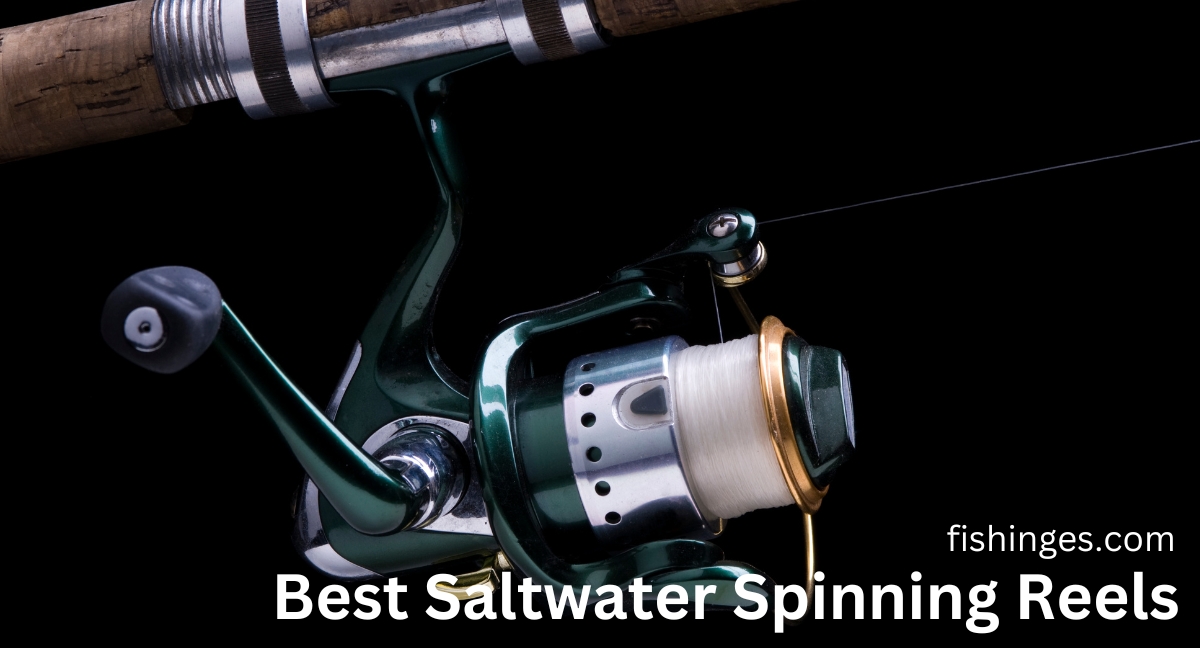 Best Saltwater Spinning Reels Under $50